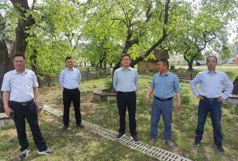 4月16日，区人大常委会副主任周世武视察高标准农田建设情况.jpg
